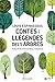 Contes i llegendes dels arbres