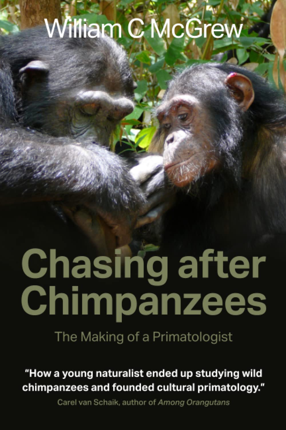 Chasing after Chimpanzees: The Making of a Primatologist (Wild at Heart: True Stories of Animal Rescue & Veterinary Adventures)