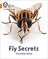 Fly Secrets: Band 06/Orange (Collins Big Cat Phonics for Letters and Sounds)