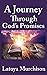 A Journey Through God's Pro...