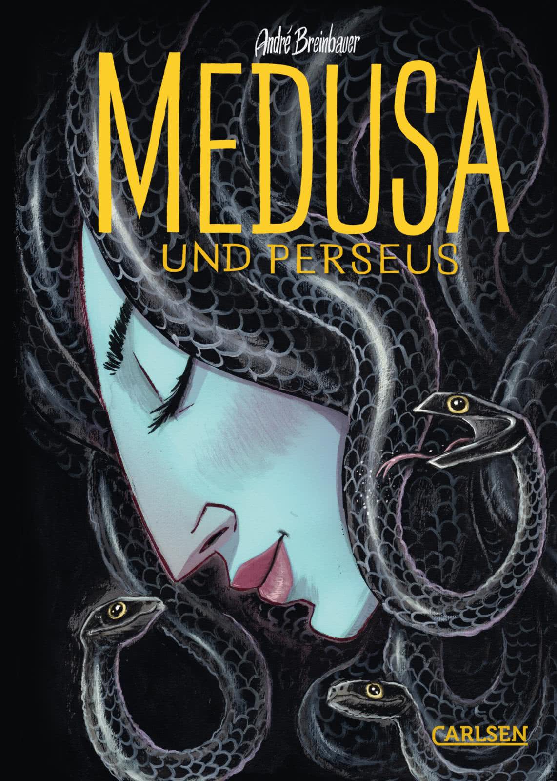 Medusa und Perseus (Hardcover)