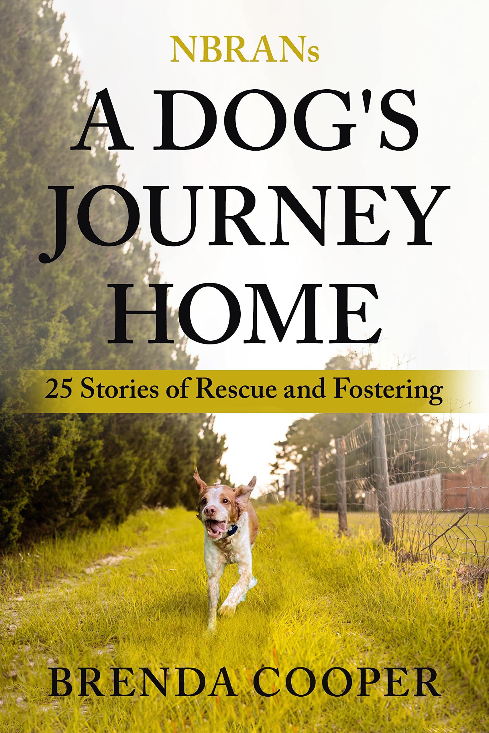 NBRANs A Dog's Journey Home: 25 Stories of Rescue and Fostering (Kindle Edition)