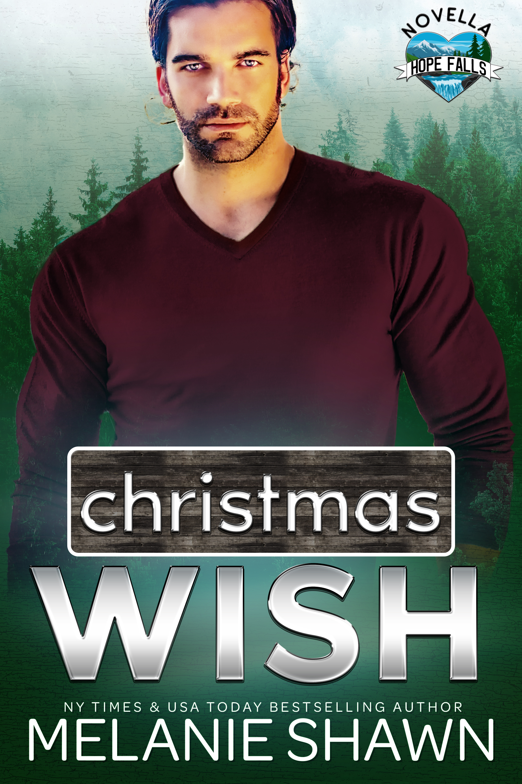 Christmas Wish (Hope Falls, #12.5)