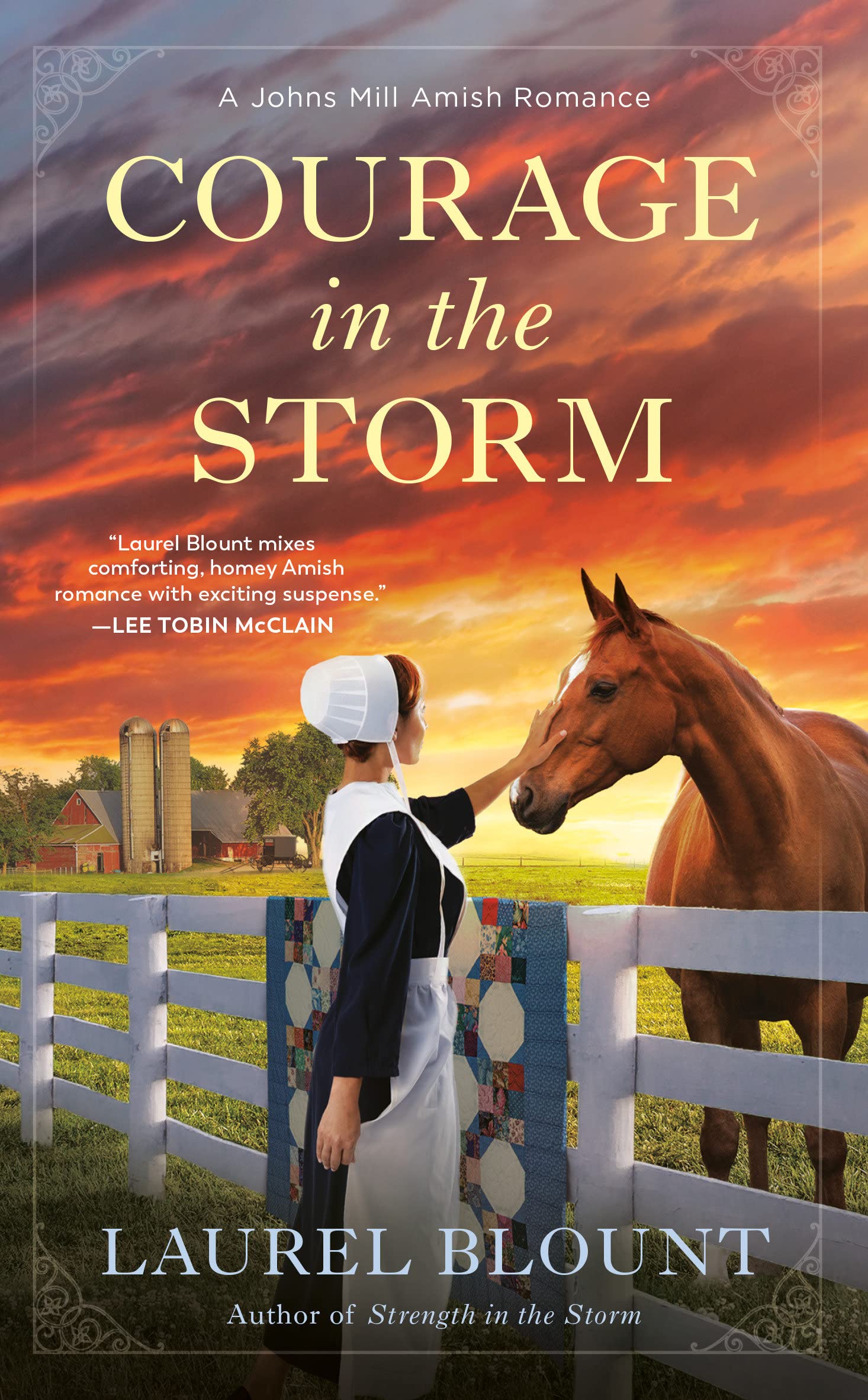 Courage in the Storm (Johns Mill Amish Romance #3)