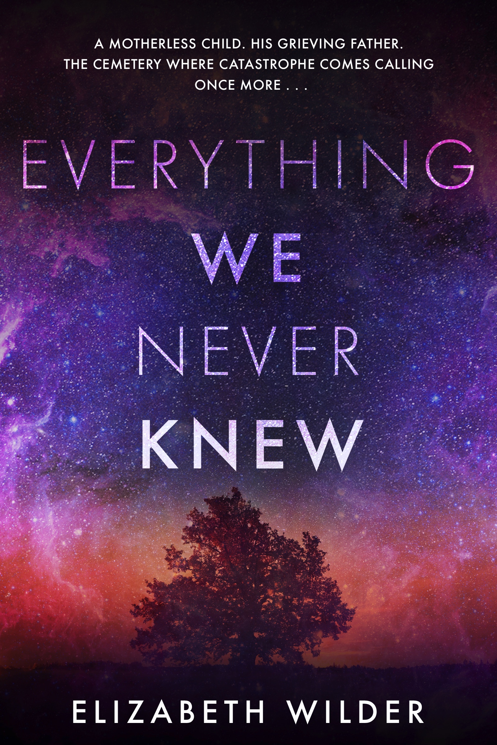 Everything We Never Knew