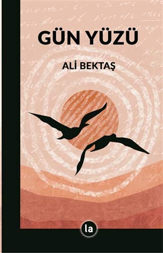 Gün Yüzü (Paperback)