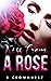 Kiss From a Rose
