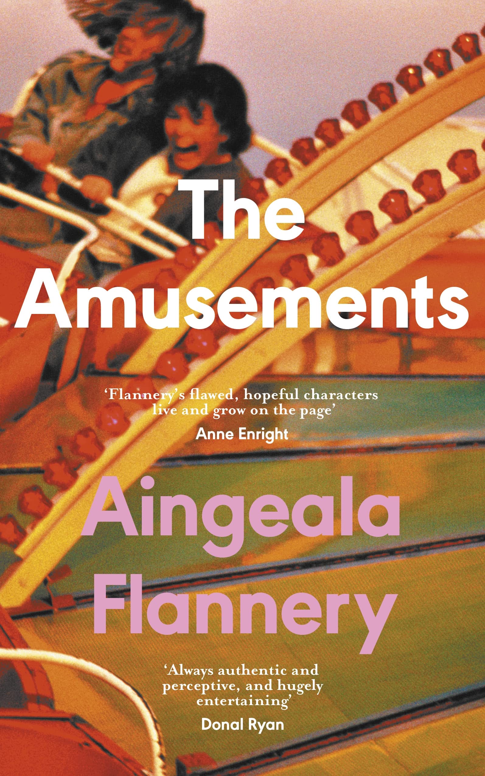 The Amusements (Paperback)