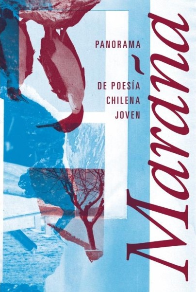 Maraña. Panorama de poesía chilena joven
