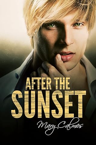 After the Sunset (Timing, #2)