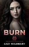 Burn by Lily Wildhart
