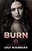 Burn (The Saints of Serenity Falls, #1)
