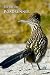 The Greater Roadrunner (Revised and Expanded Second Edition)