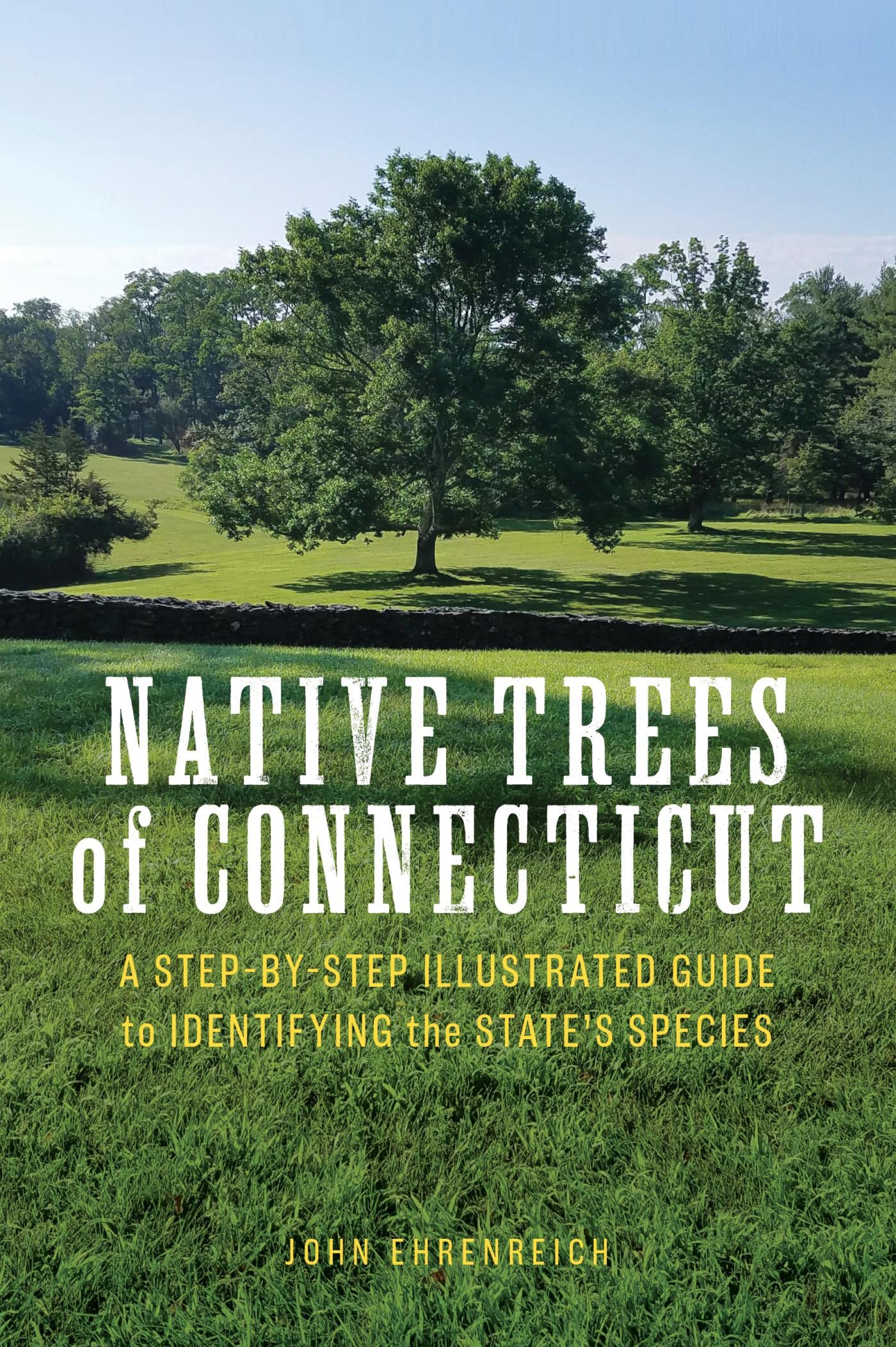 Native Trees of Connecticut: A Step-by-Step Illustrated Guide to Identifying the State's Species (Kindle Edition)