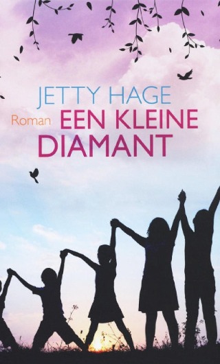 Een kleine diamant (Hardcover)