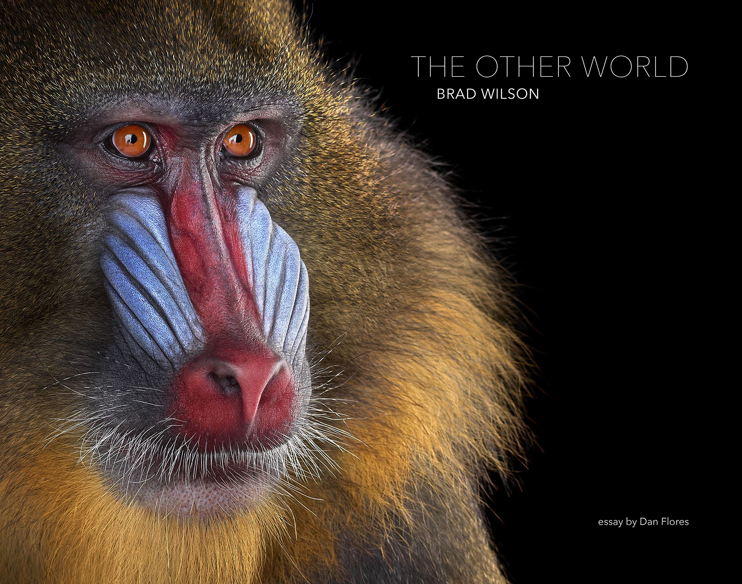 The Other World: Animal Portraits (Hardcover)