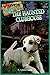 The Haunted Clubhouse (Wishbone Mysteries #2)