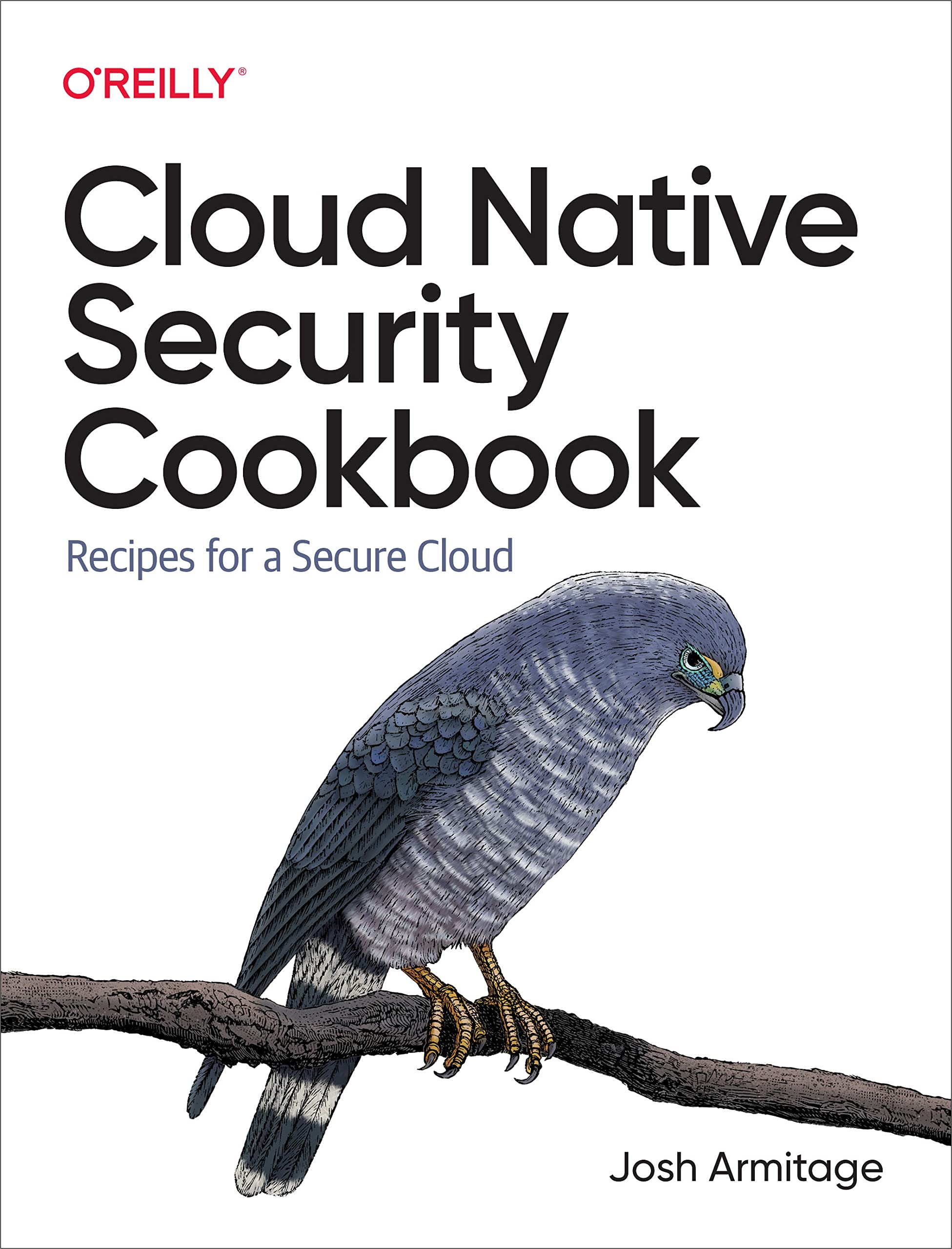 Cloud Native Security Cookbook: Recipes for a Secure Cloud (Kindle Edition)