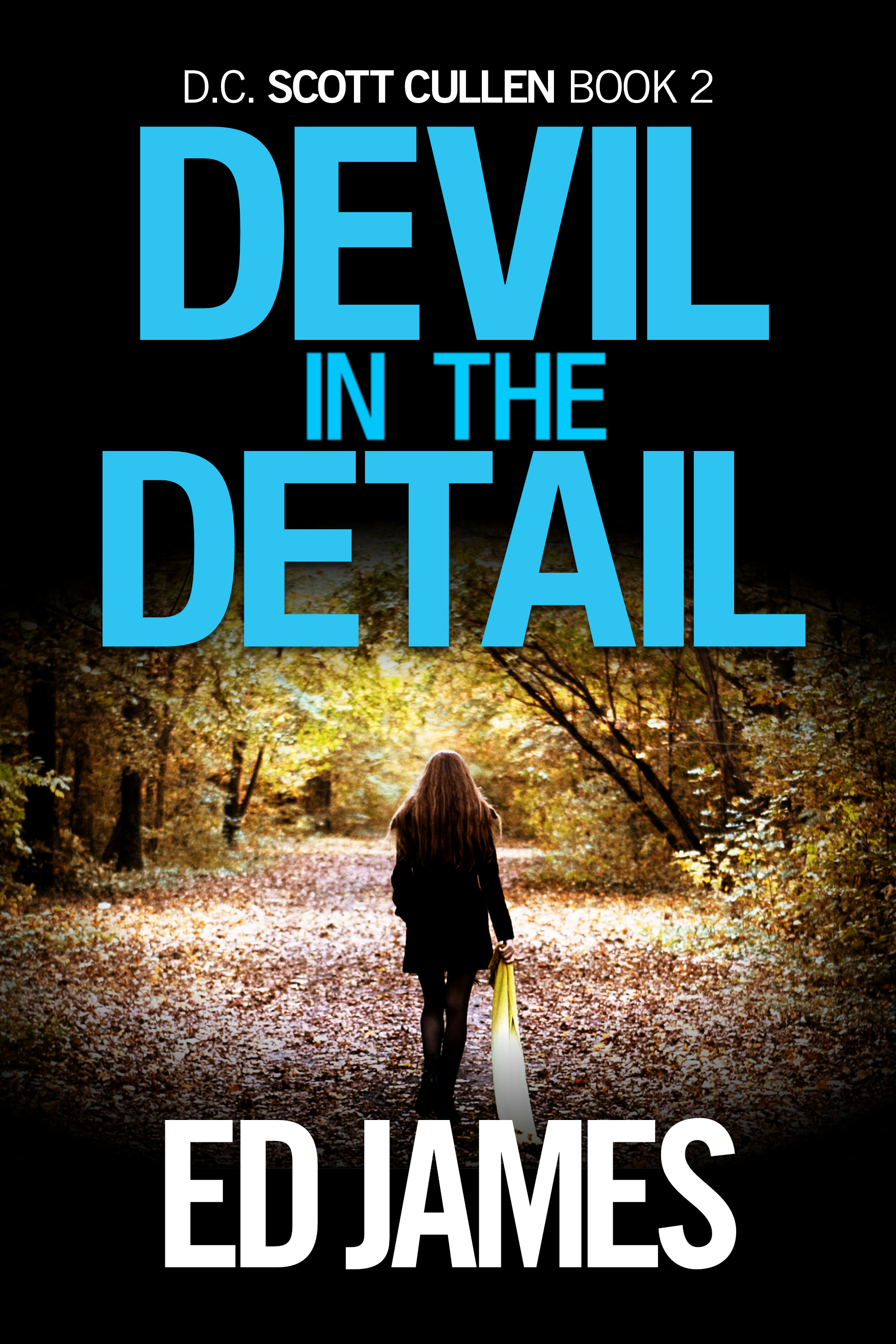 Devil in the Detail (Scott Cullen Mysteries #2)
