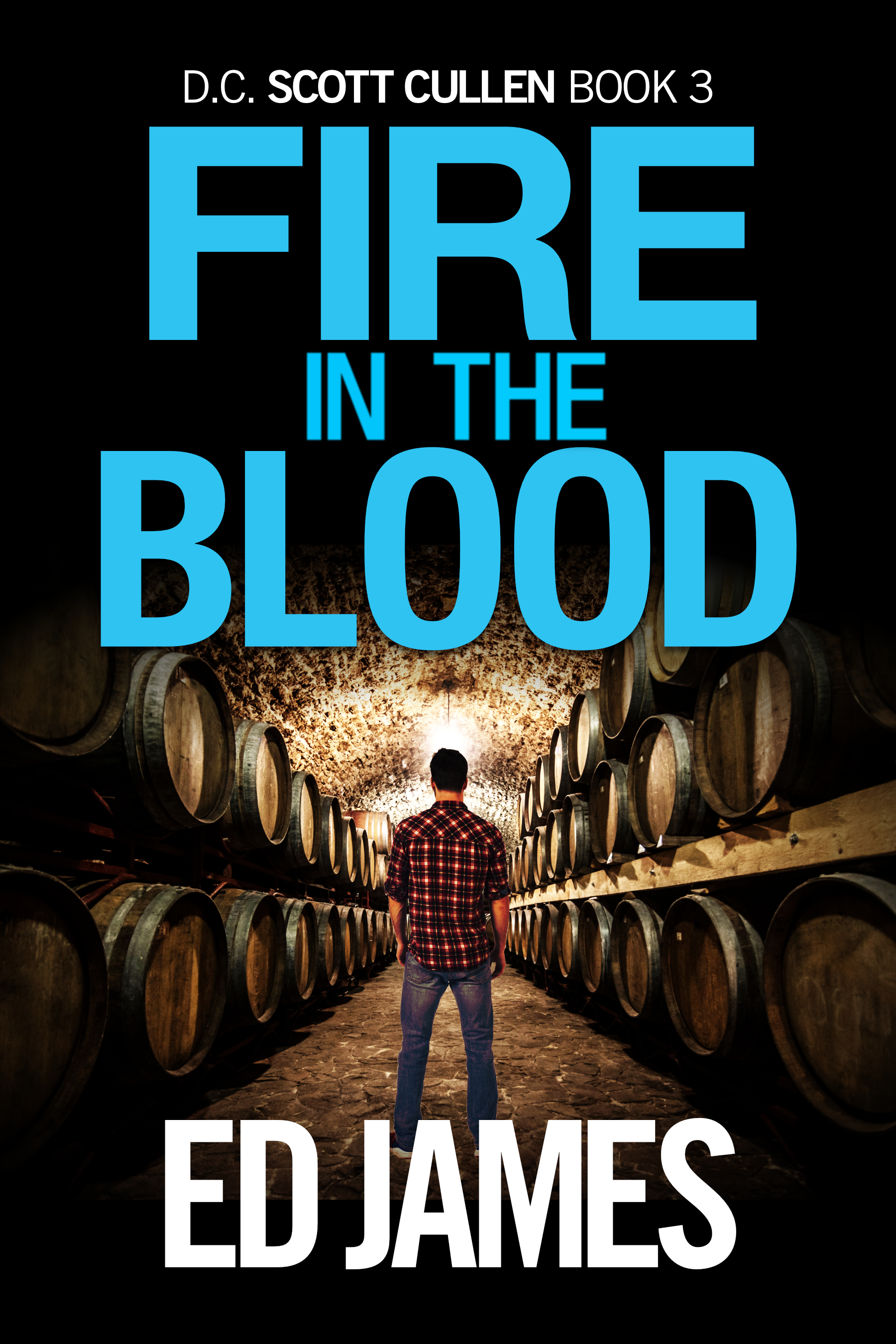 Fire in the Blood (Scott Cullen Mysteries, #3)