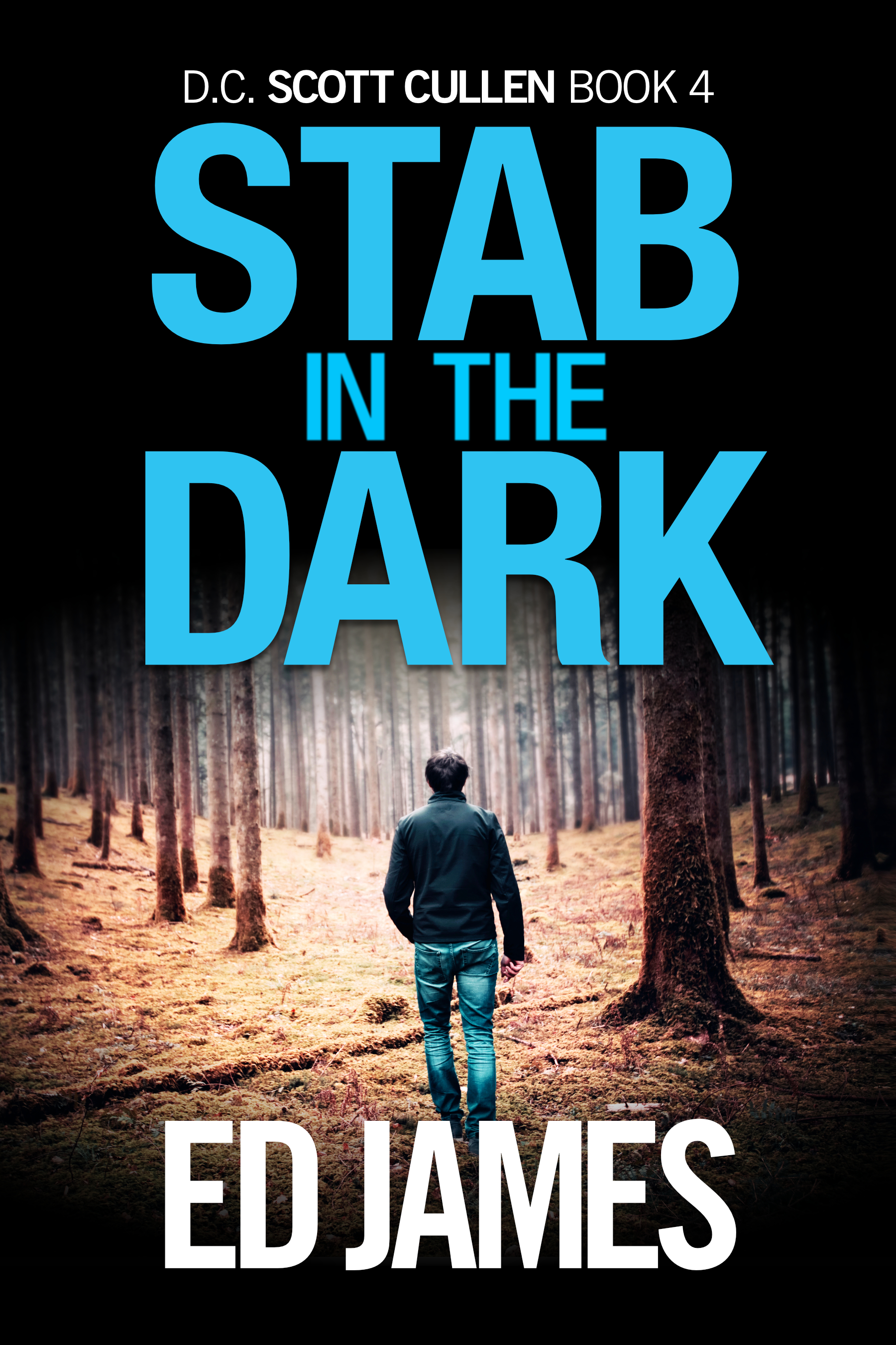 Stab In The Dark (Scott Cullen Mysteries #4)