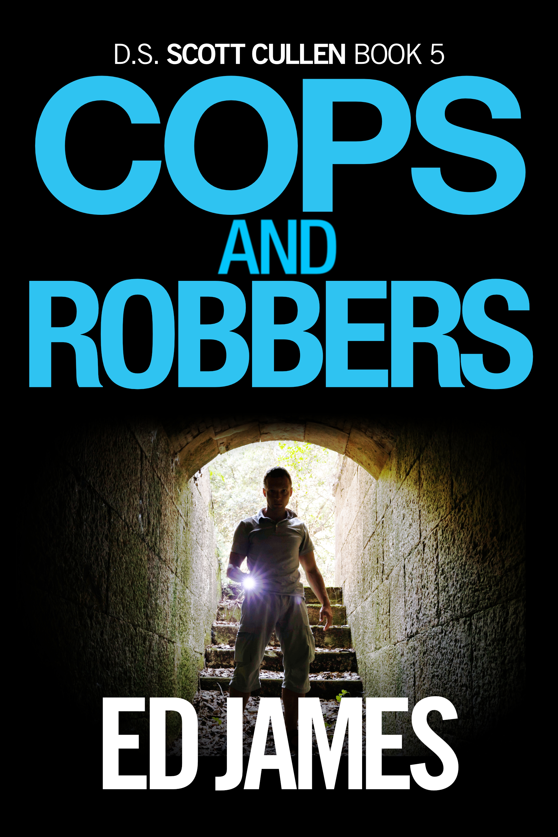 Cops and Robbers (Scott Cullen Mysteries #5)