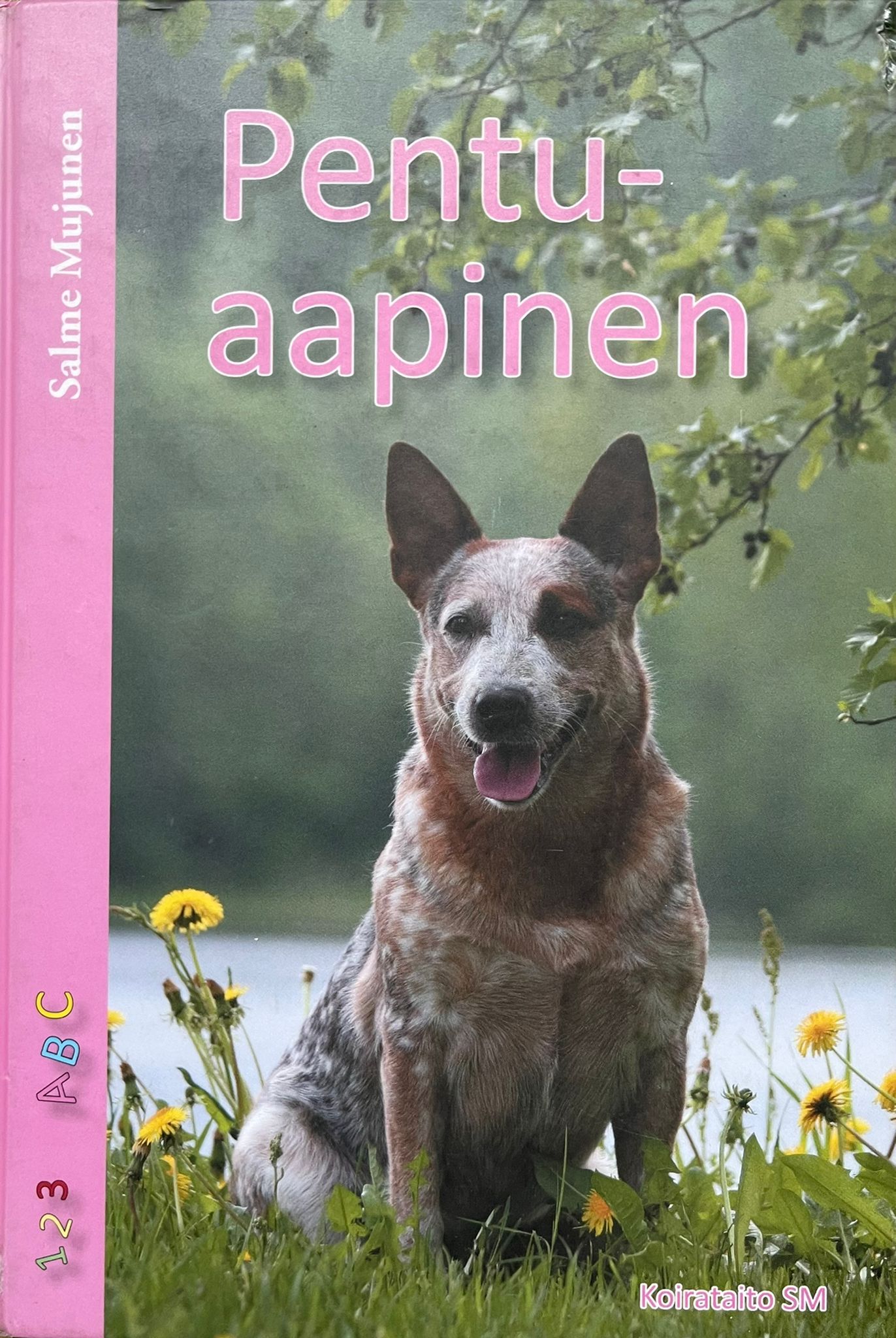 Pentuaapinen (Hardcover)