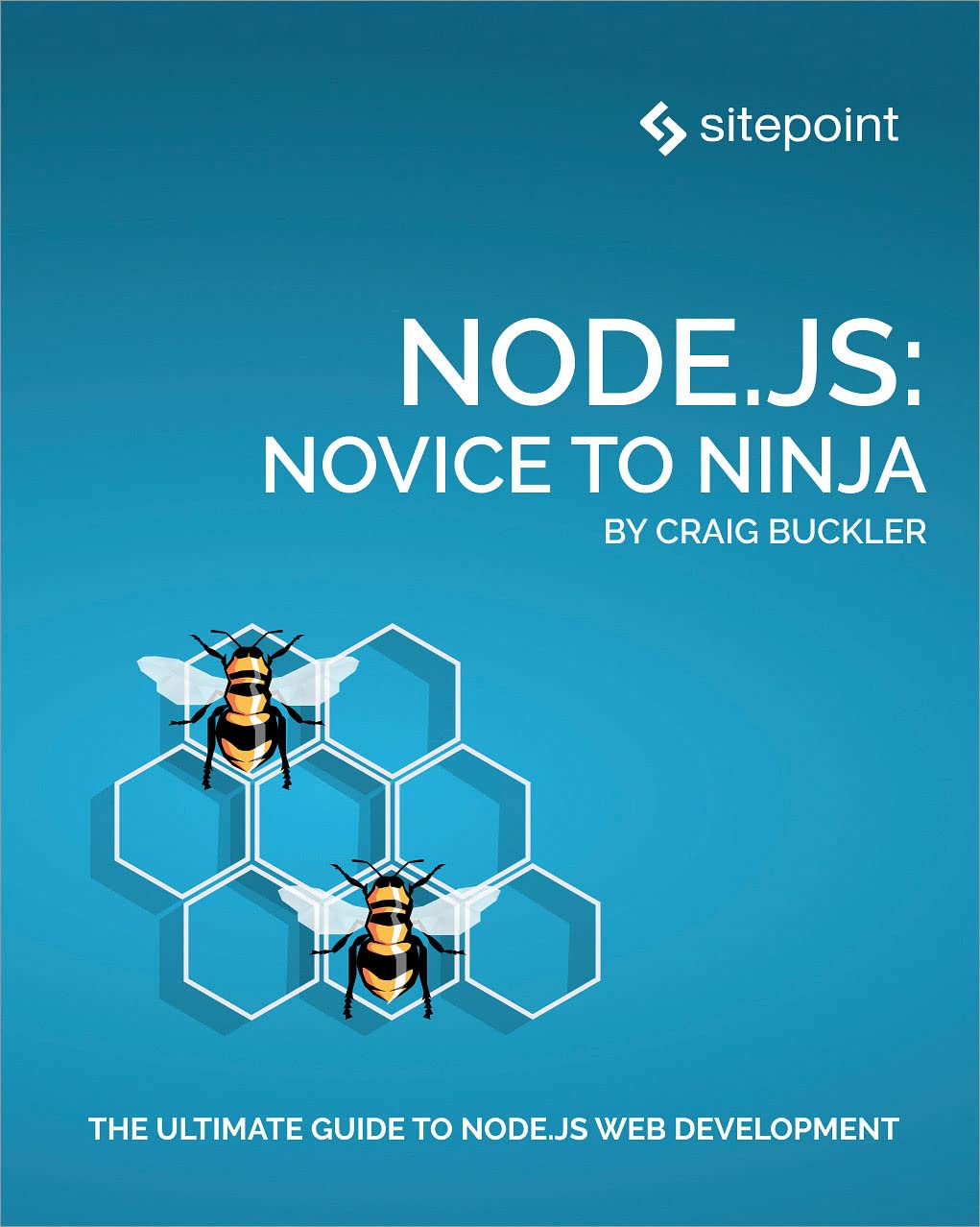 Node.js: Novice to Ninja (Kindle Edition)
