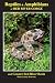Reptiles and Amphibians of Red River Gorge & Greater Red Rive... by Dan Dourson