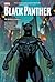 Black Panther by Ta-Nehisi Coates Omnibus by Ta-Nehisi Coates