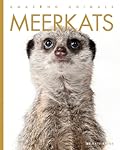 Meerkats