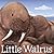 Little Walrus by Julie Abery Little Walrus by Julie Abery