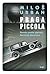 Praga piccola: Román podle zápisků Bertolda Neumana