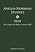 Anglo-Norman Studies XLIII by Martin Aurell