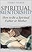 Spiritual Mentorship by Terry Felber