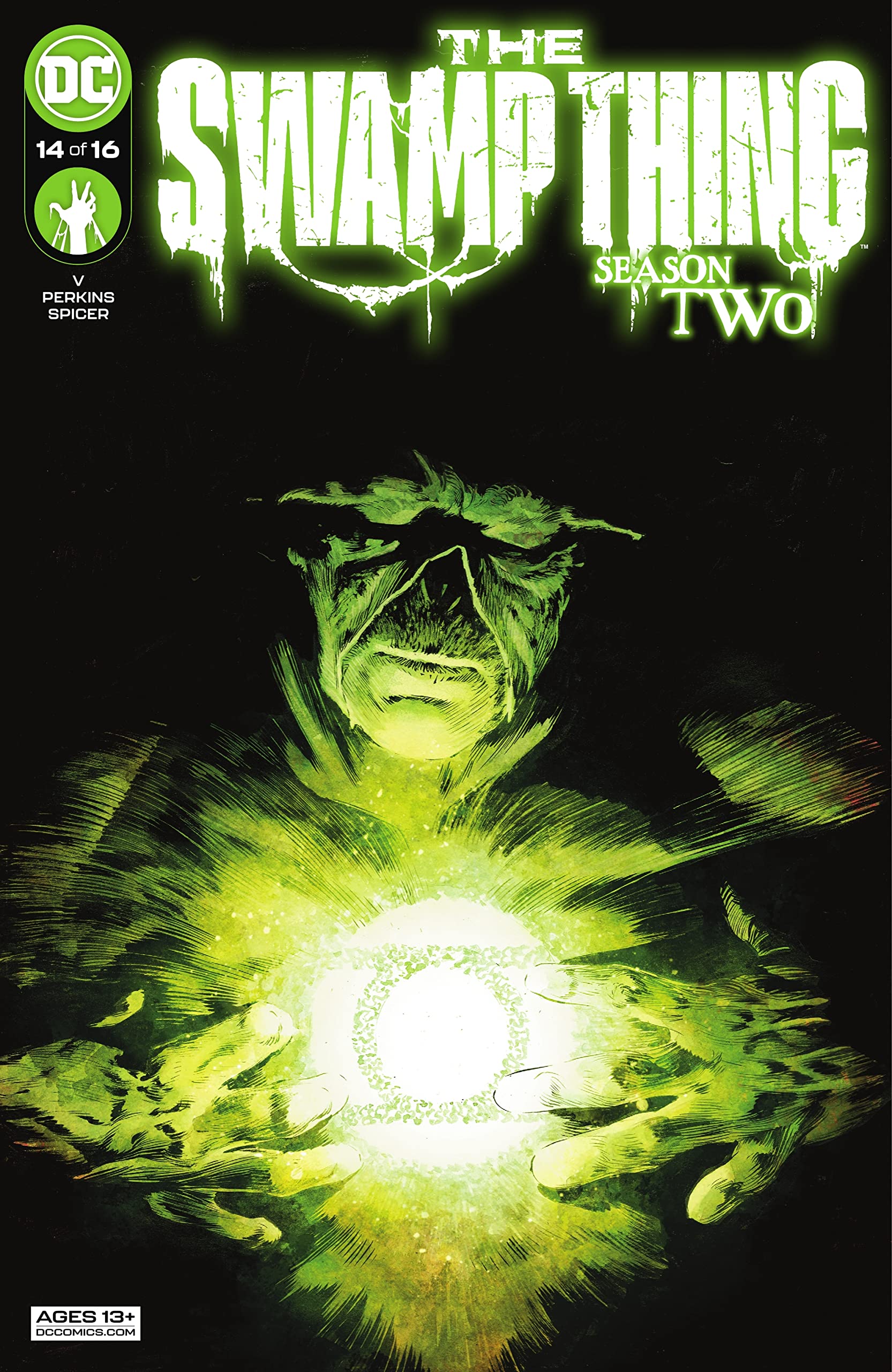 The Swamp Thing #14 (Kindle Edition)