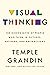 Visual Thinking: The Hidden Gifts of People Who Think in Pictures, Patterns, and Abstractions