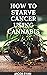 HOW TO STARVE CANCER USING ...