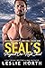 SEAL's Pregnant One-Night Stand (Bronte Security Services, #1)