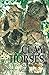 Clay Horses by Shirish Thorat