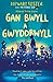 Darllen yn Well: Gan Bwyll ...