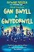 Darllen yn Well by Bethan Gwanas