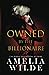 Owned by the Billionaire