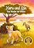 Nuru und Lela - Das Wunder der Wildnis (Das geheime Leben der Tiere - Savanne #1)