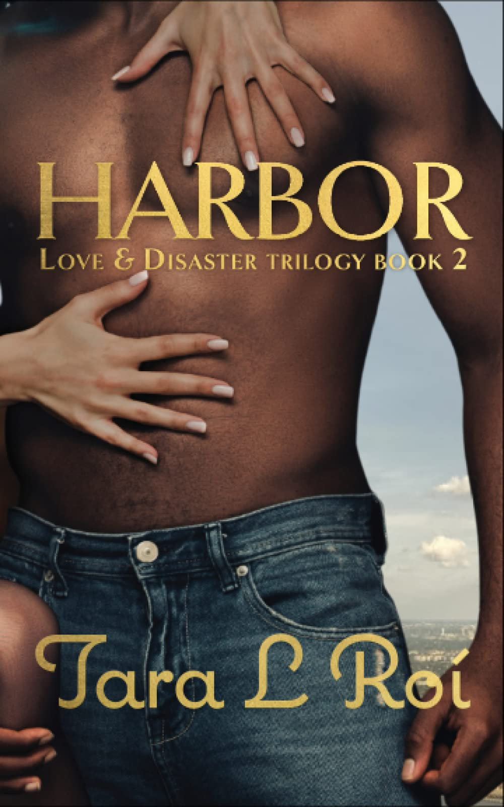 1st edition - Harbor (Love & Disaster Trilogy, Book 2)