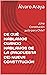 DE QUÉ HABLAMOS CUANDO HABLAMOS DE LA (PROPUESTA DE) NUEVA CONSTITUCIÓN: ¿Una Constitución justa para Chile? (Spanish Edition)
