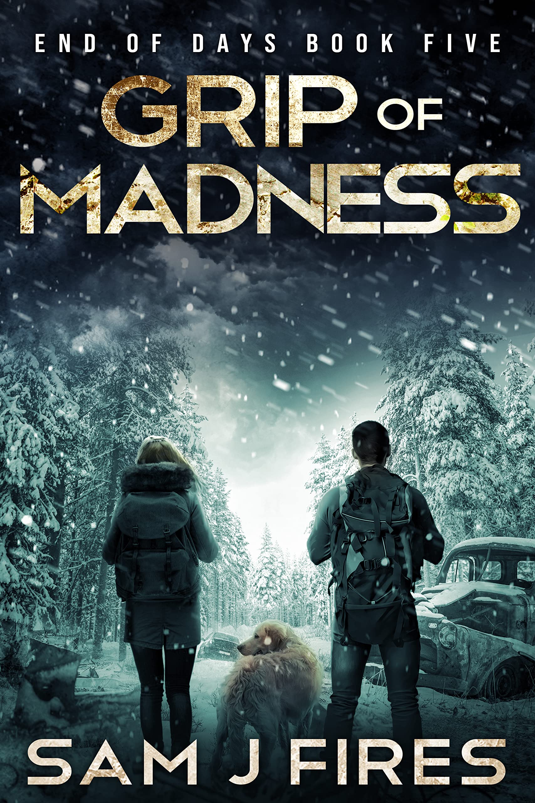 Grip of Madness (End of Days #5)