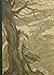 Wuthering Heights by Emily Brontë