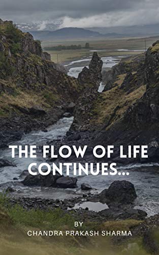 The Flow Of Life Continues...