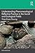 Understanding Phenomenological Reflective Practice in the Soc... by Peter Westoby